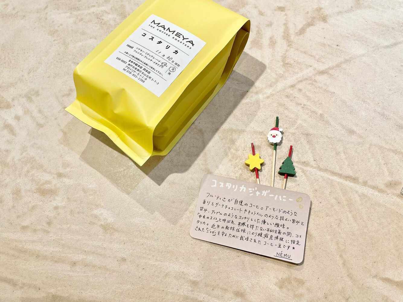 画像1365