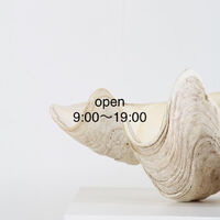 画像1653