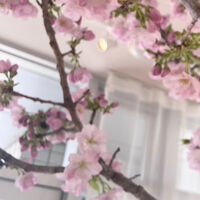 画像1802